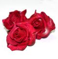 Розы бордовые из фоамирана